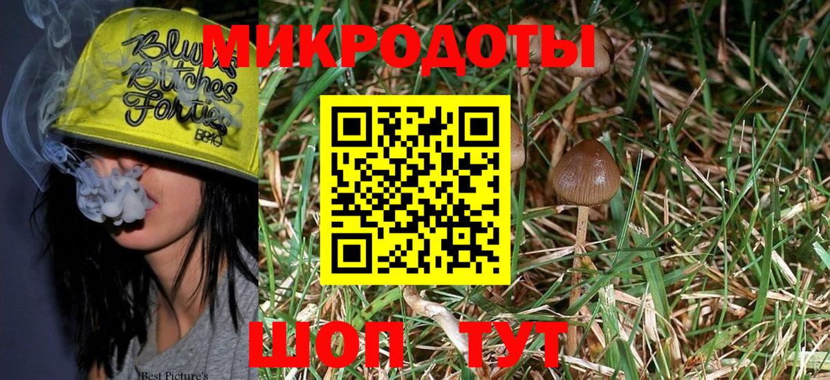 где найти   Галлюциногенные грибы MAGIC MUSHROOMS  Коряжма  Вход с VPN  Галлюциногенные грибы мицелий 